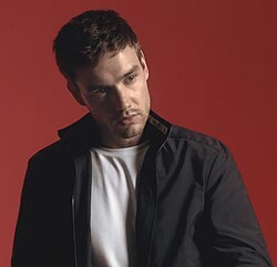 The tragedy of Liam Payne, and the importance of having a will