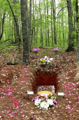 A greener goodbye - eco-friendly alternatives to traditional burials and cremation techniques - Wishes